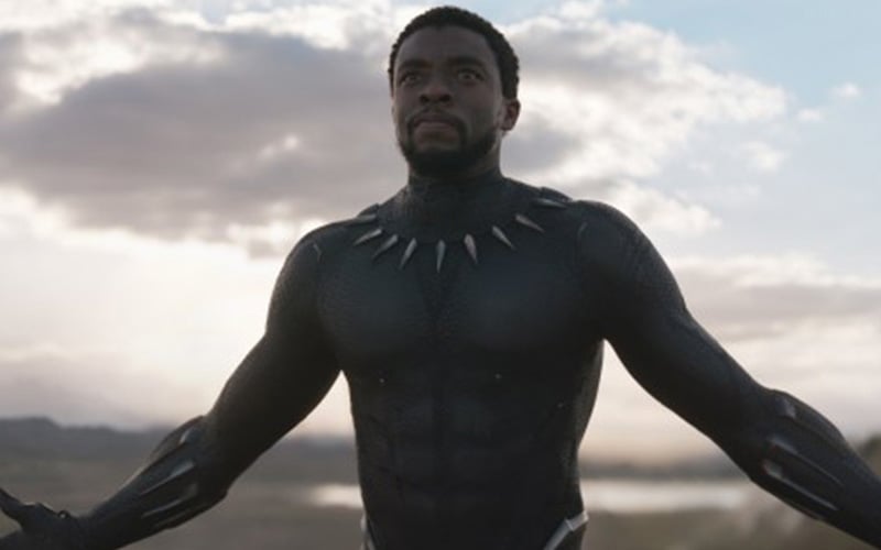 Chadwick Boseman Inspired Workout: Train Like Black Panther