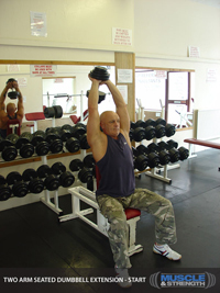 Seated Dumbbell Extension