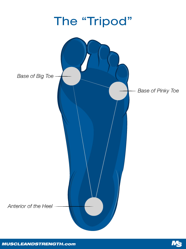 The Tripod Foot Position for Better Squatting