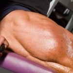 Tree Trunk Quads
