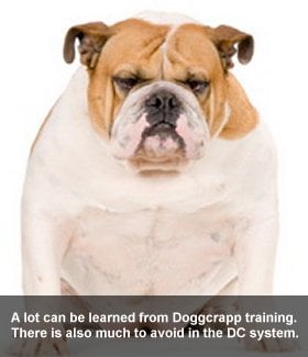 Is Doggcrapp Training Effective?