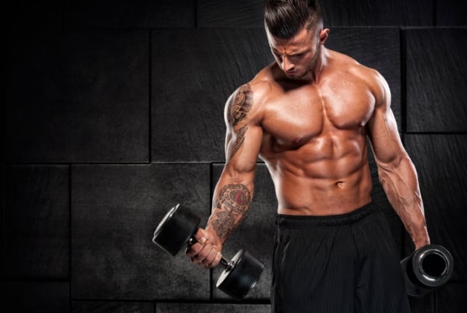 Fat Loss