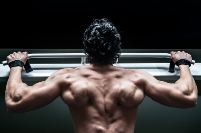 Fat loss diet