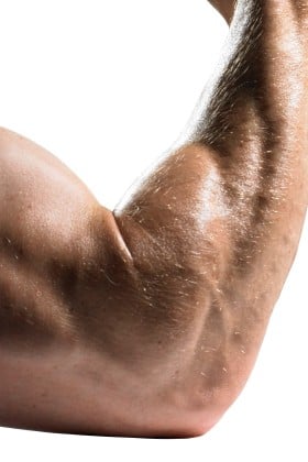 Do forearms need to be a priority?