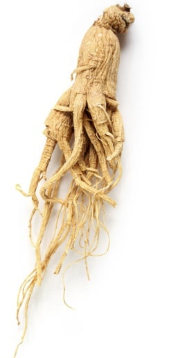 Ginseng
