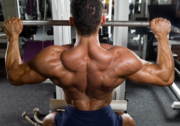 Mind muscle connection and back training