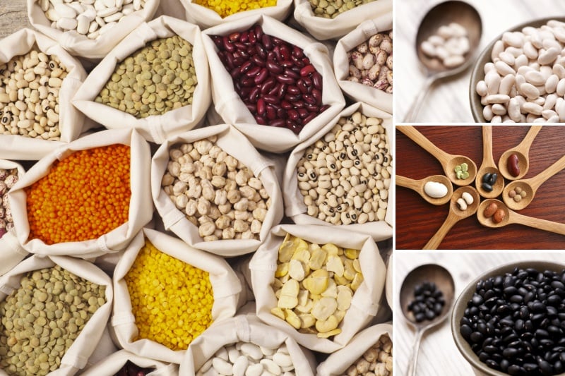 Dangers of Legumes