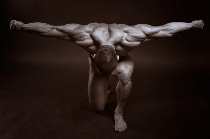 Muscle Building