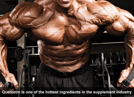 Quercetin is one of the hottest ingredients in the supplement industry.