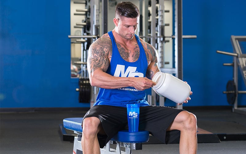 Bodybuilding essentials protein