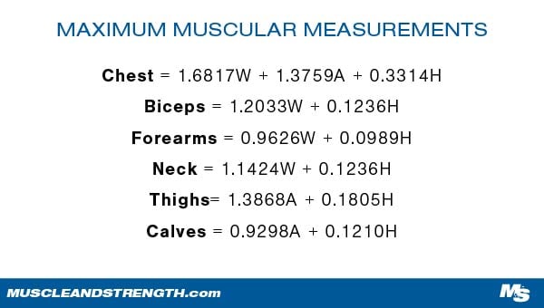 Butt's Maximum Muscular Potential per grouping