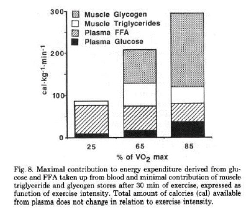 Study showing the importance of carbs for high intensity training