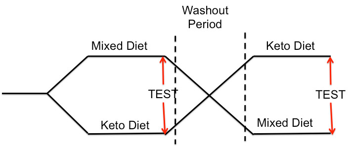 Ketogenic Diets: Crossover Study