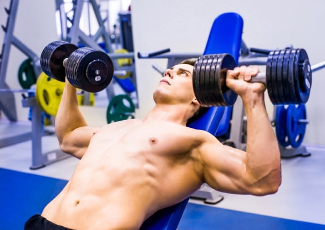 Muscle Building