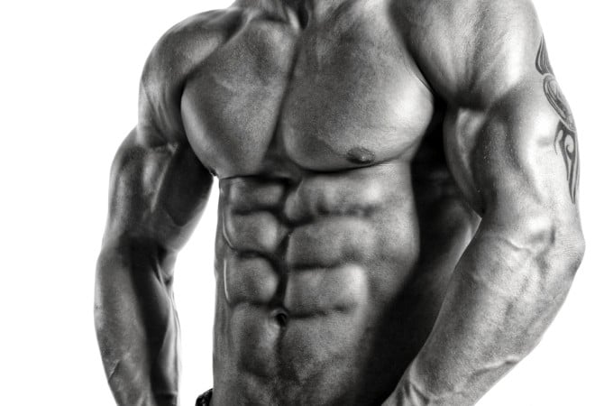 Fat Loss