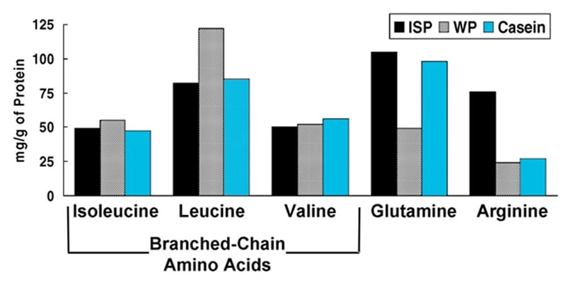 Micellar Whey versus Casein and Whey Protein