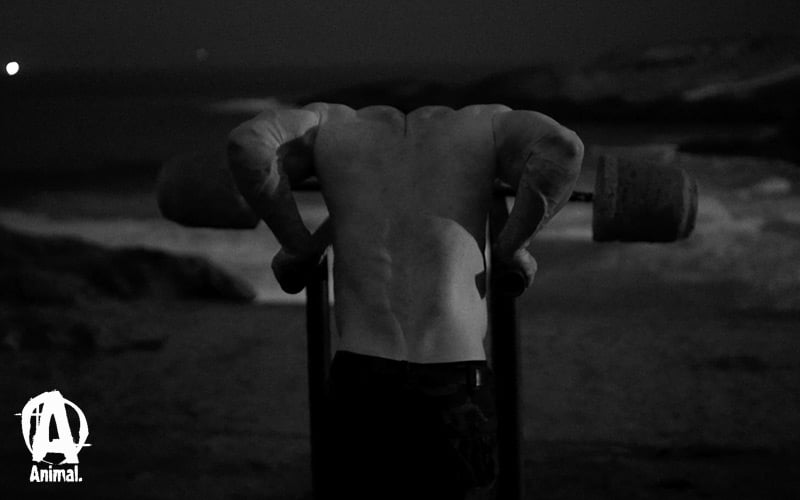 Roman Fritz at Flintstone's Gym in Brazil: Dips