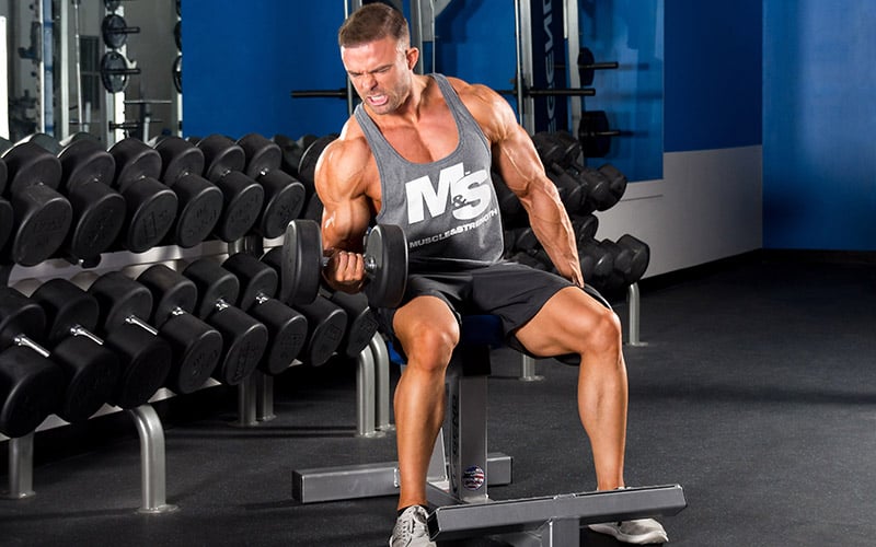 Male performing seated dumbbell curls