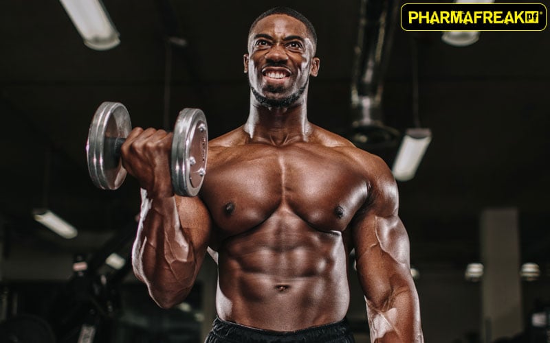 Pre Workout Ingredients: Beta-Alanine to boost endurance