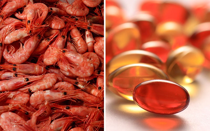 5 Healthy Fat Sources You're Not Eating: Krill Oil