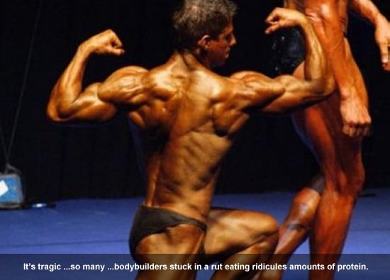 Andrew Chappell on Protein