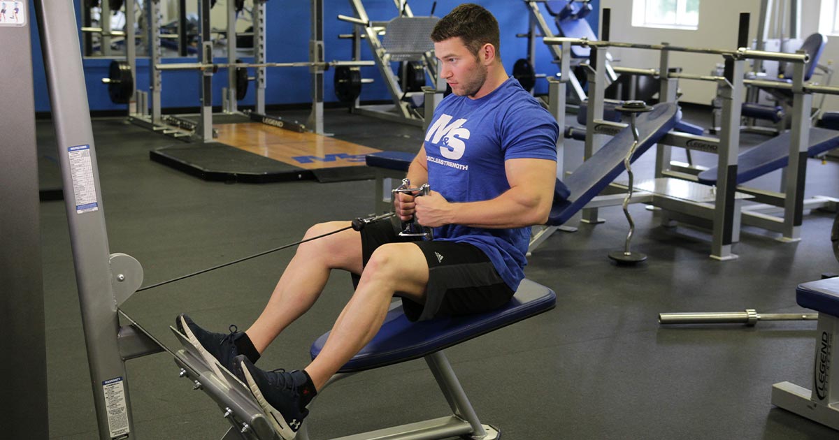 Seated Cable Rows Exercises Cable Rows Exercises IXYI