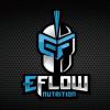 Team eFlow