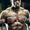 Mike Rashid