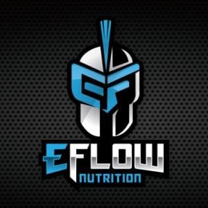 Team eFlow