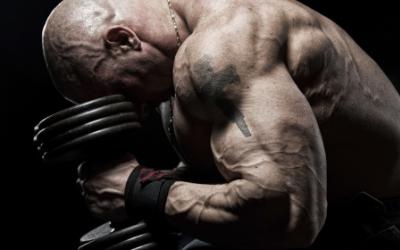 7 Habits Of Highly Effective Bodybuilders
