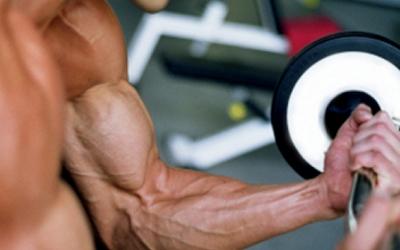 Arm Yourself with These 7 Bicep Blasters
