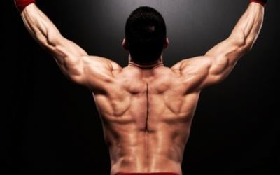 How To Quickly Build An Impressive Back and Lats