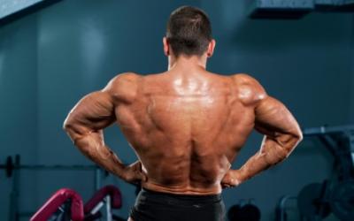 Favorite Back Building Exercises