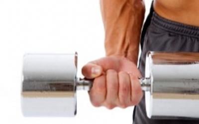 Beginner's Guide To Building Your Arms