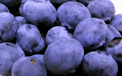 The Ultimate Berry Fruit For Healthy Living