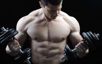 How To Optimize Fat Loss & Muscle Building