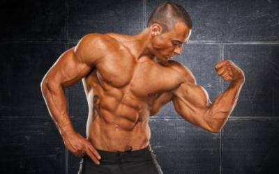 Why Broscience Works: Muscle Building Art Versus Science