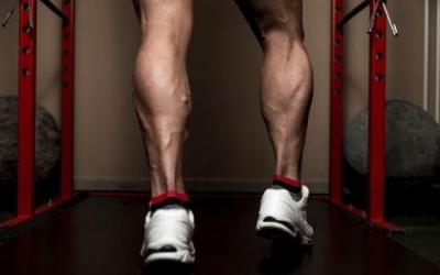 Standing Calf Raise vs. Seated Calf Raise 