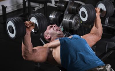 Cluster Set Training For Muscle Gains
