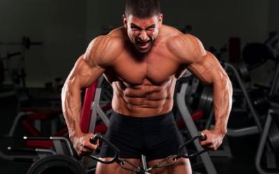 Increase Training Frequency Build More Lean Muscle