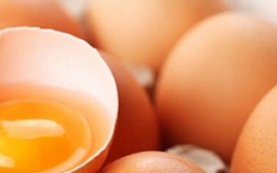 A Look at Protein Foods: Eggs