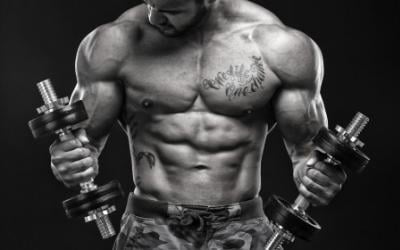 The Best Muscle Building Exercises