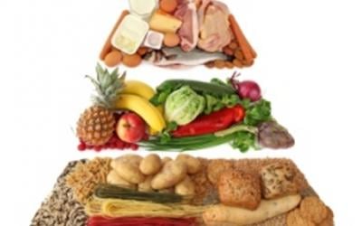 The Food Pyramid Making You Fat? Why It Doesn’t Work