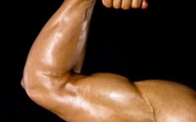 Bringing Up The Hamstrings And Forearms – The Forgotten Muscles