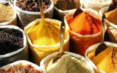 Hypoallergenic: My Journey As A Gluten-Free, Low-Allergen Bodybuilder