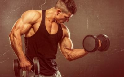 Does High Volume Training Build More Muscle?