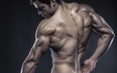 How To Build Giant-Sized Horseshoe Triceps