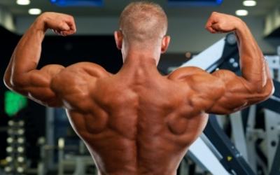 8 Week Intense Workouts: Part 1 - Back Workout