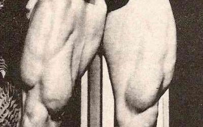 Ask Joe The Pro Vol. 6 - Gaining Muscle And Losing Fat