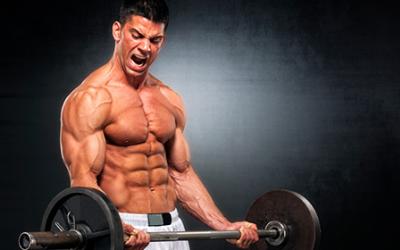 Meathead Quiz: Test Your Muscle Building Knowledge